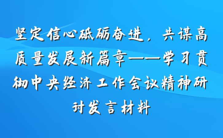 坚定信心砥砺奋进，共谋高质量发展新篇章——学习贯彻中央经济工作会议精神研讨发言材料