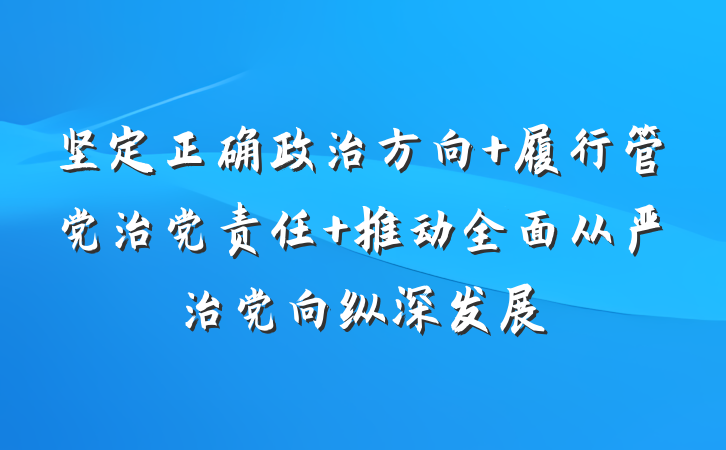坚定正确政治方向 履行管党治党责任 推动全面从严治党向纵深发展