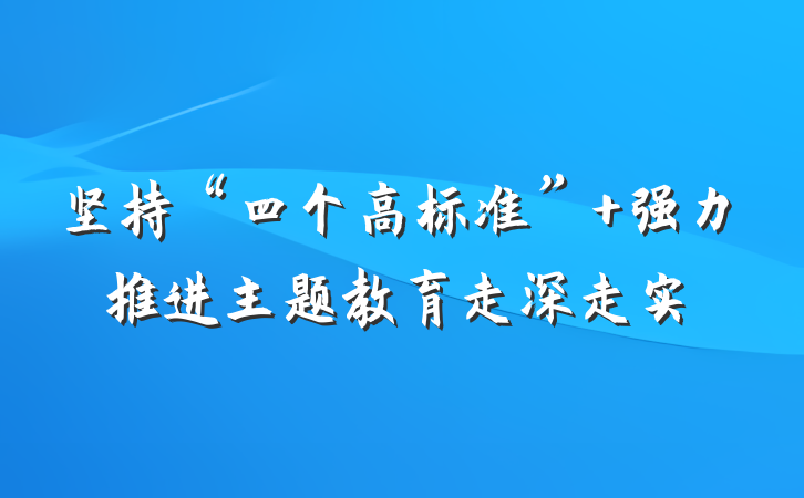 坚持“四个高标准” 强力推进主题教育走深走实