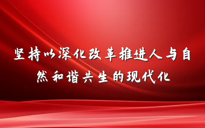 坚持以深化改革推进人与自然和谐共生的现代化