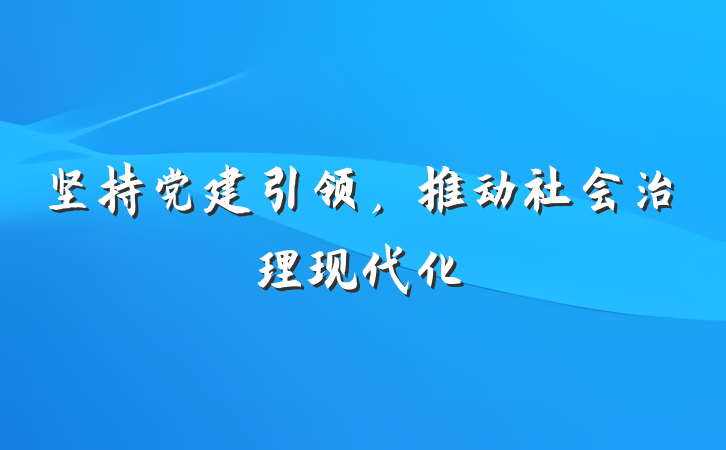 坚持党建引领，推动社会治理现代化