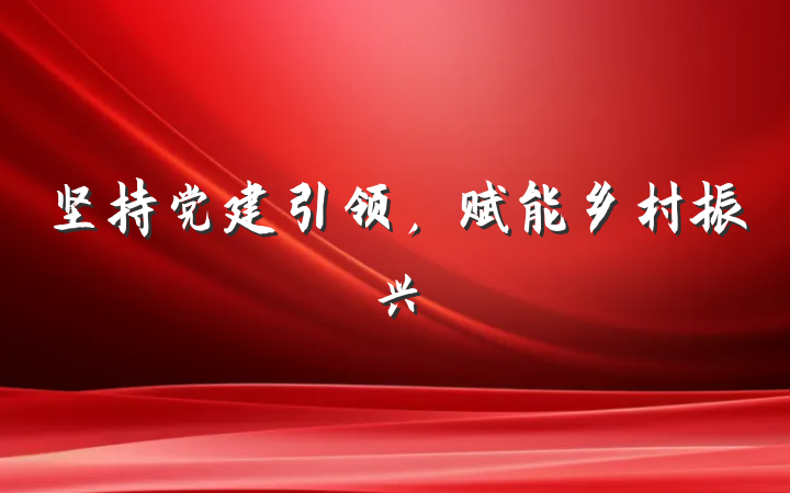 坚持党建引领，赋能乡村振兴