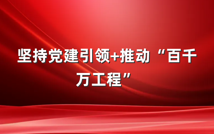 坚持党建引领 推动“百千万工程”