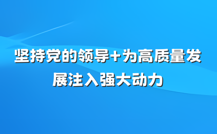 坚持党的领导 为高质量发展注入强大动力