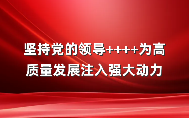 坚持党的领导    为高质量发展注入强大动力