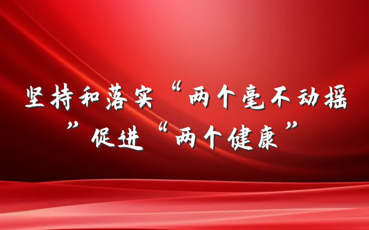 坚持和落实“两个毫不动摇”促进“两个健康”