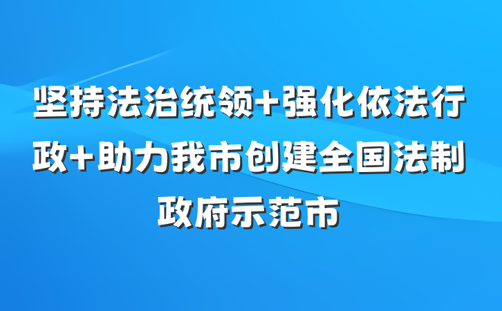 坚持法治统领 强化依法行政 助力我市创建全国法制政府示范市