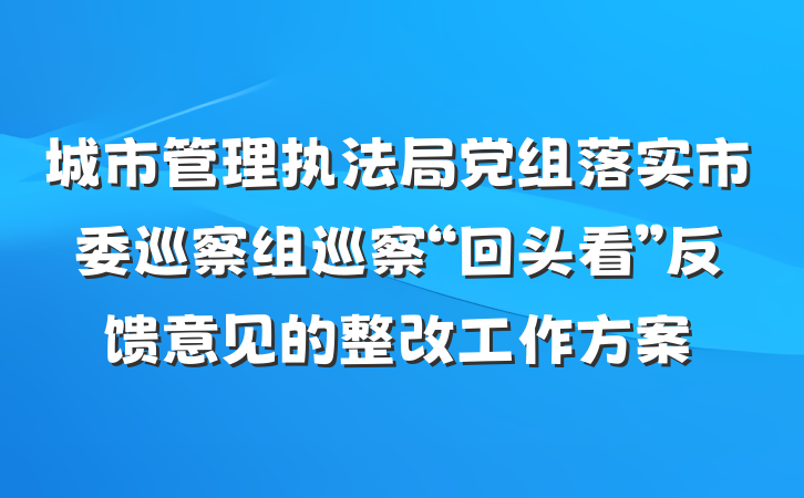 城市管理执法局党组落实市委巡察组巡察“回头看”反馈意见的整改工作方案