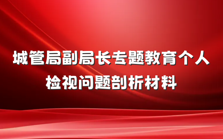 城管局副局长专题教育个人检视问题剖析材料