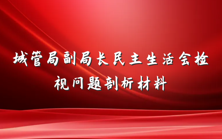 城管局副局长民主生活会检视问题剖析材料
