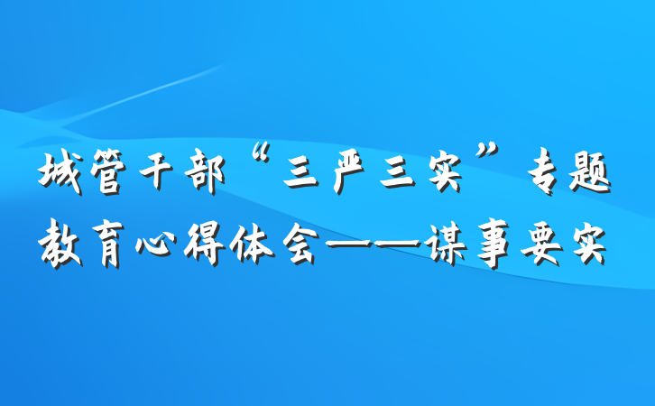 城管干部“三严三实”专题教育心得体会——谋事要实