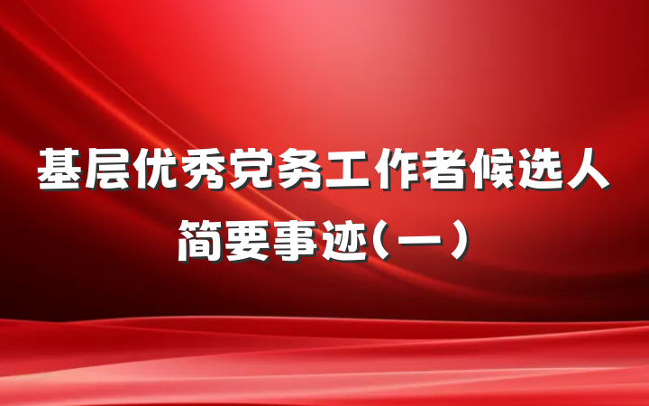 基层优秀党务工作者候选人简要事迹（一）