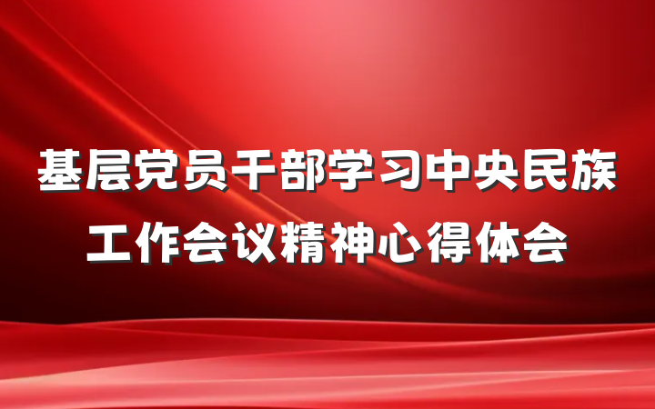 基层党员干部学习中央民族工作会议精神心得体会