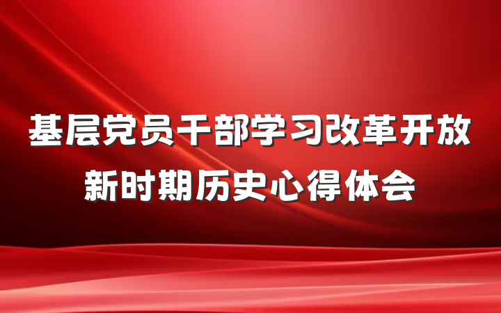 基层党员干部学习改革开放新时期历史心得体会