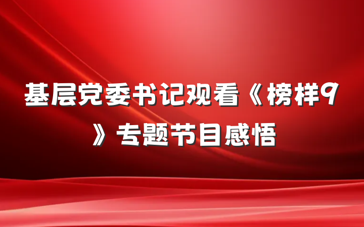 基层党委书记观看《榜样9》专题节目感悟