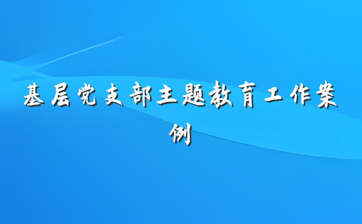 基层党支部主题教育工作案例