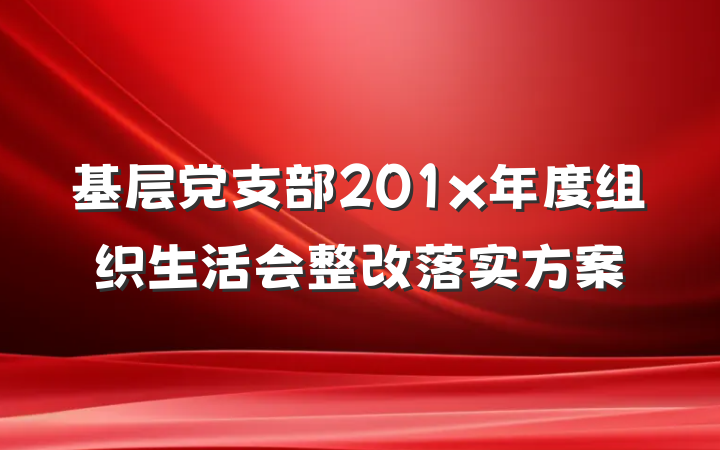 基层党支部201x年度组织生活会整改落实方案