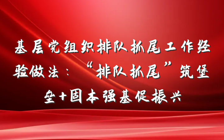 基层党组织排队抓尾工作经验做法：“排队抓尾”筑堡垒 固本强基促振兴