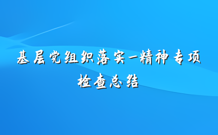 基层党组织落实_精神专项检查总结