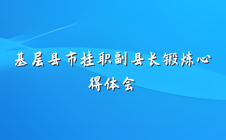 基层县市挂职副县长锻炼心得体会