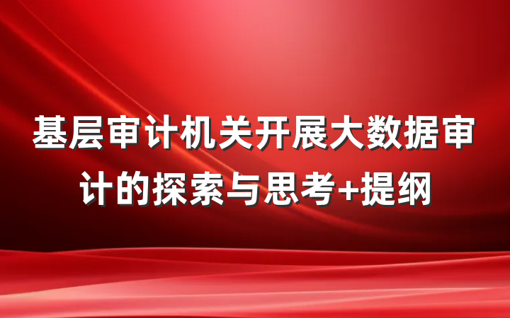 基层审计机关开展大数据审计的探索与思考 提纲