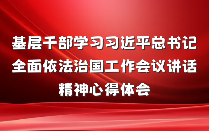 基层干部学习习近平总书记全面依法治国工作会议讲话精神心得体会
