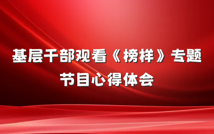 基层干部观看《榜样》专题节目心得体会