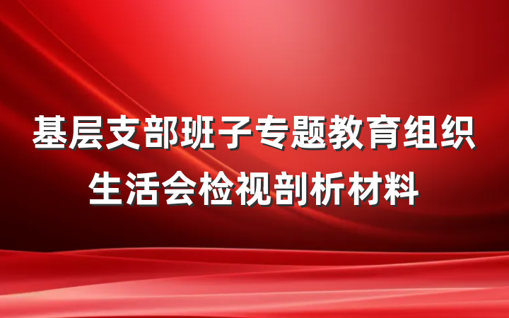 基层支部班子专题教育组织生活会检视剖析材料