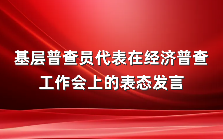 基层普查员代表在经济普查工作会上的表态发言