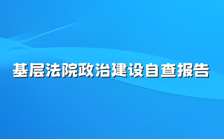 基层法院政治建设自查报告