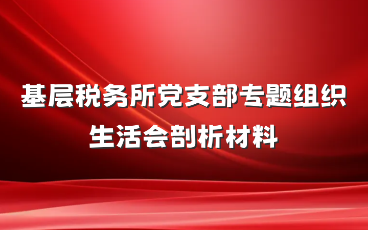 基层税务所党支部专题组织生活会剖析材料