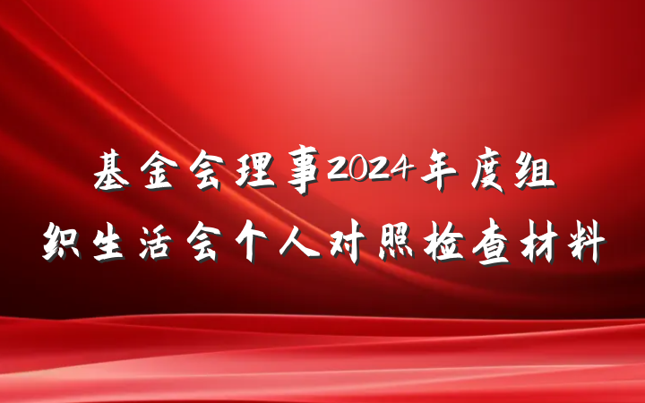 基金会理事2024年度组织生活会个人对照检查材料