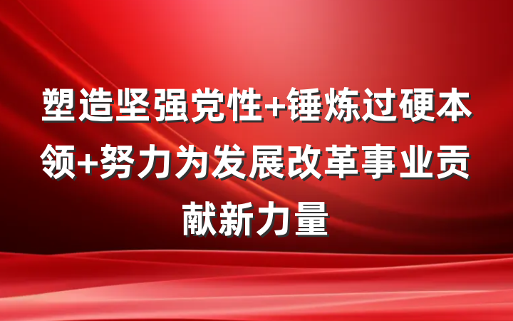塑造坚强党性 锤炼过硬本领 努力为发展改革事业贡献新力量
