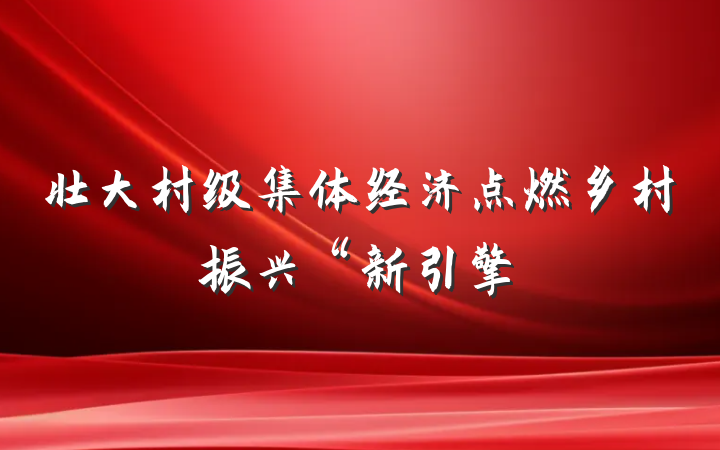 壮大村级集体经济点燃乡村振兴“新引擎
