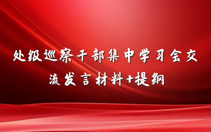 处级巡察干部集中学习会交流发言材料 提纲