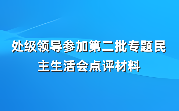 处级领导参加第二批专题民主生活会点评材料