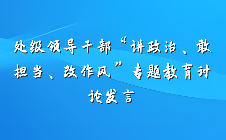 处级领导干部“讲政治、敢担当、改作风”专题教育讨论发言