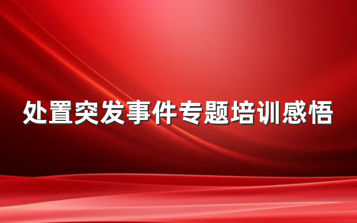 处置突发事件专题培训感悟