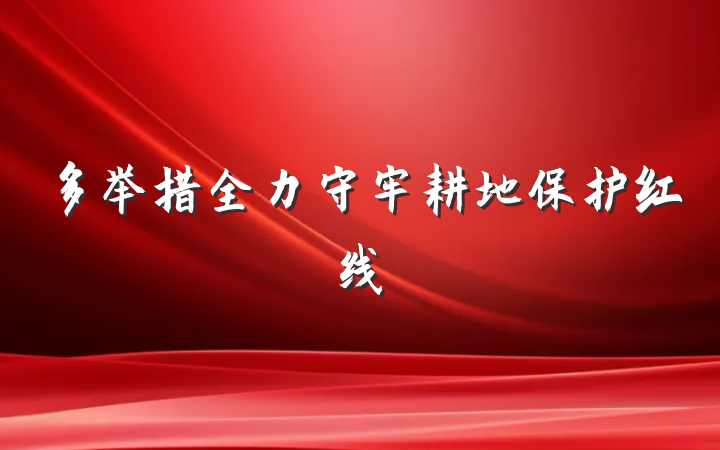 多举措全力守牢耕地保护红线