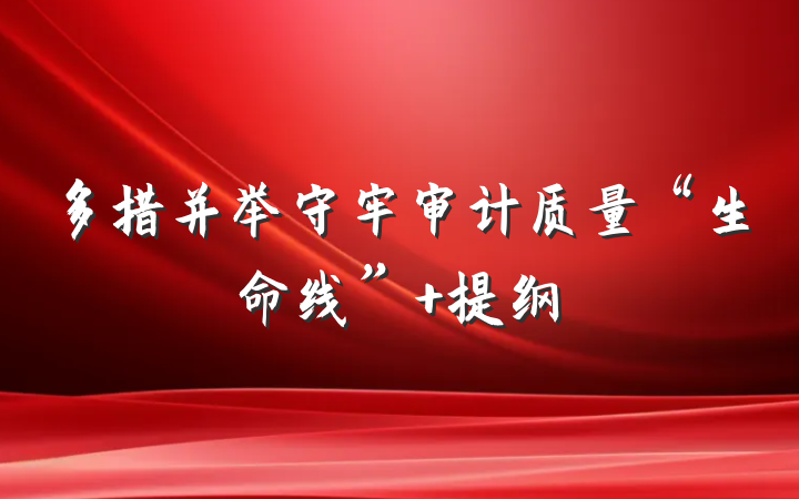 多措并举守牢审计质量“生命线” 提纲
