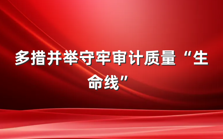 多措并举守牢审计质量“生命线”