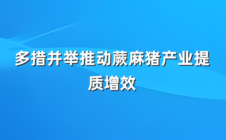多措并举推动蕨麻猪产业提质增效