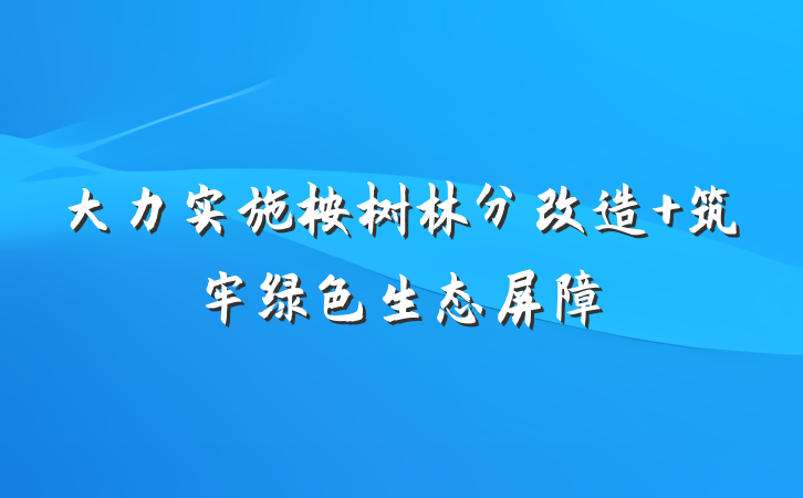大力实施桉树林分改造 筑牢绿色生态屏障