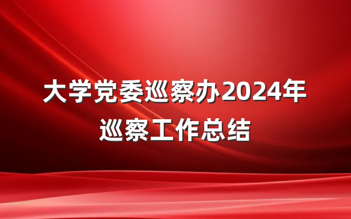 大学党委巡察办2024年巡察工作总结