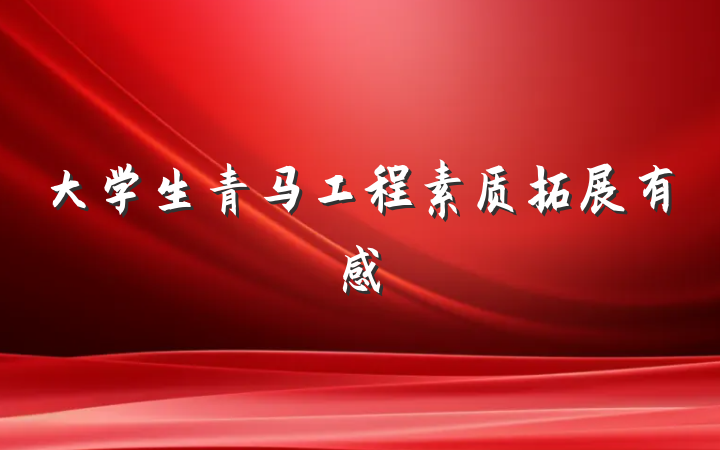 大学生青马工程素质拓展有感