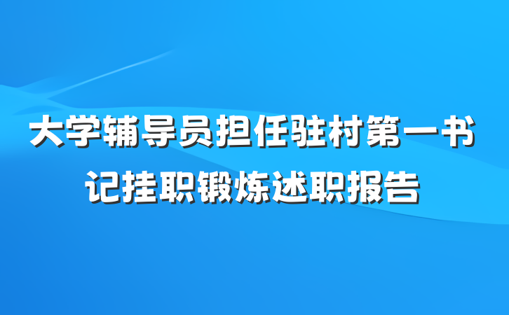 大学辅导员担任驻村第一书记挂职锻炼述职报告