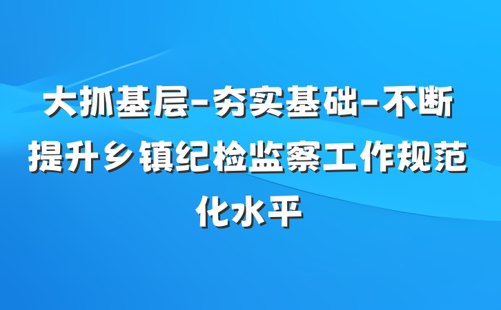 大抓基层-夯实基础-不断提升乡镇纪检监察工作规范化水平