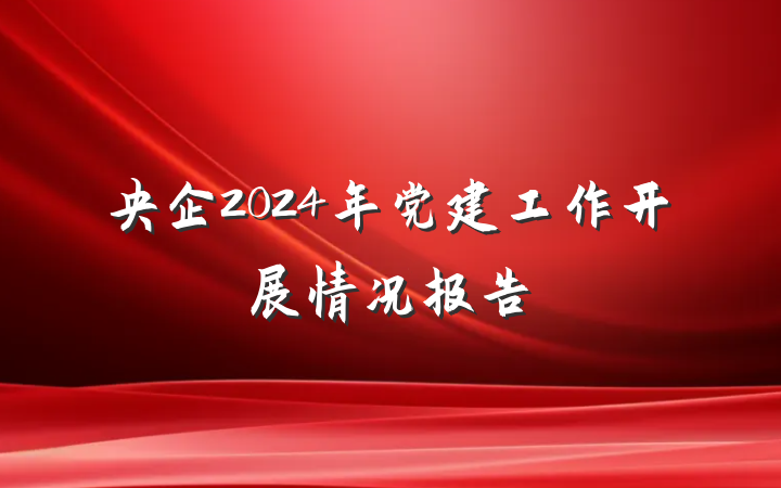 央企2024年党建工作开展情况报告