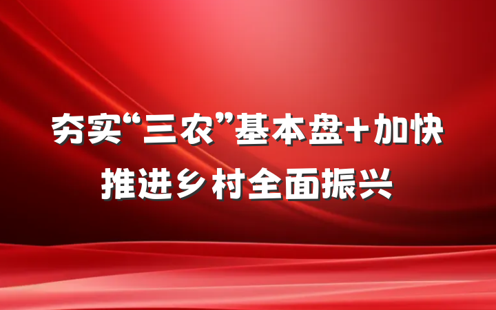 夯实“三农”基本盘 加快推进乡村全面振兴