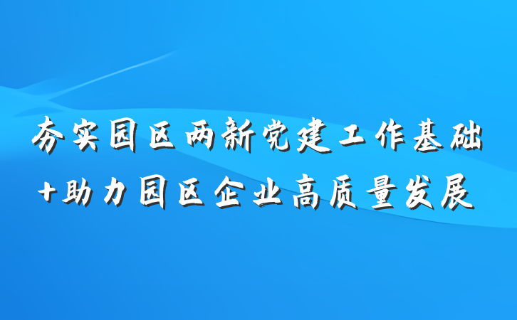 夯实园区两新党建工作基础 助力园区企业高质量发展